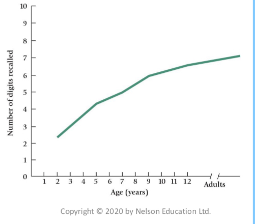 <p><span>Last class, we discussed this graph. What conclusions can be drawn from this graph? </span></p><p><span>a) The number of digits that individuals can count up to is ~equal to their age until the age of 7- to 9-years-old.</span></p><p><span> b) Enhances in memory span across development suggests improvements in short-term memory capacity. </span></p><p><span>c) Enhances in memory span across development suggests improvements in sensory store capacity. </span></p><p><span>d) The number of digits that individuals can count forward and backward is ~ equal to their age in years until adulthood.</span></p>