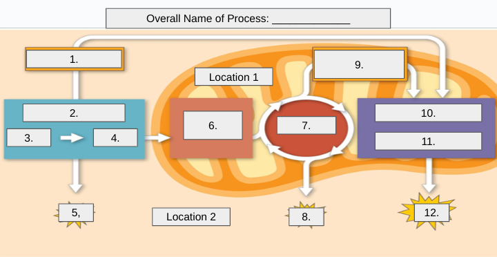 <p>What is the name of location 1?</p>