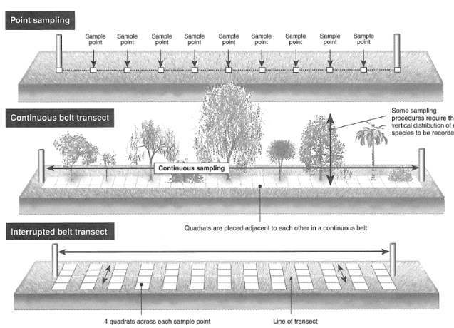 <ul><li><p>Point sampling</p></li><li><p>Continuous belt transect</p></li><li><p>Interrupted belt transect</p></li></ul>