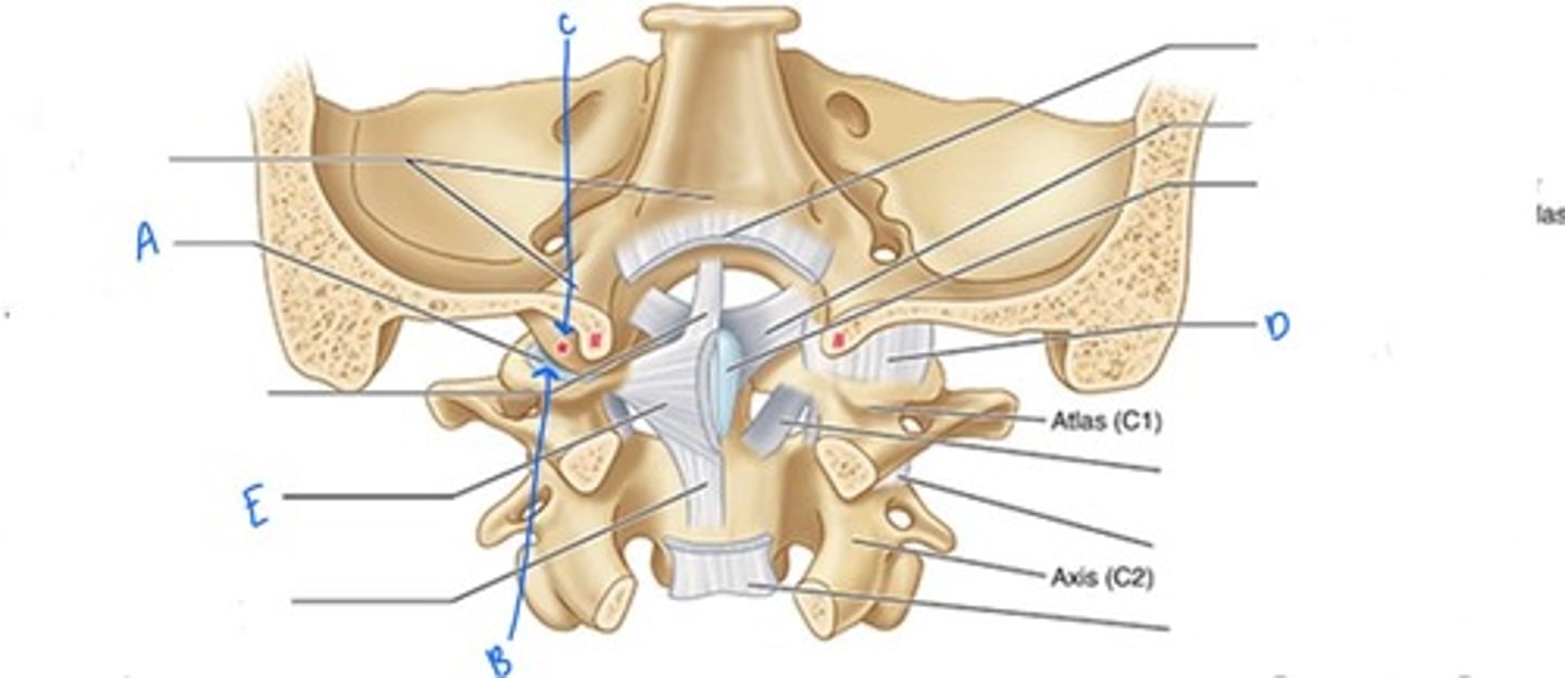<p>What is "A" which causes the "Yes" movement</p>