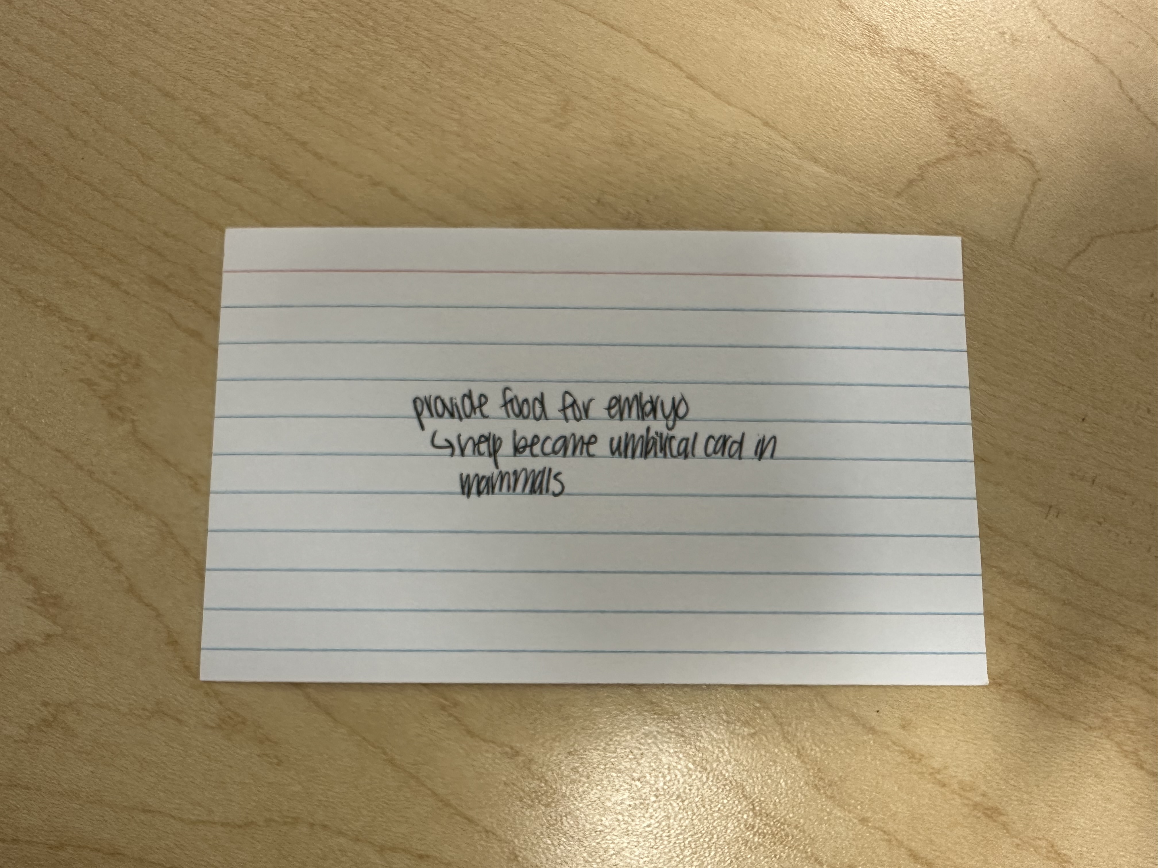knowt flashcard image
