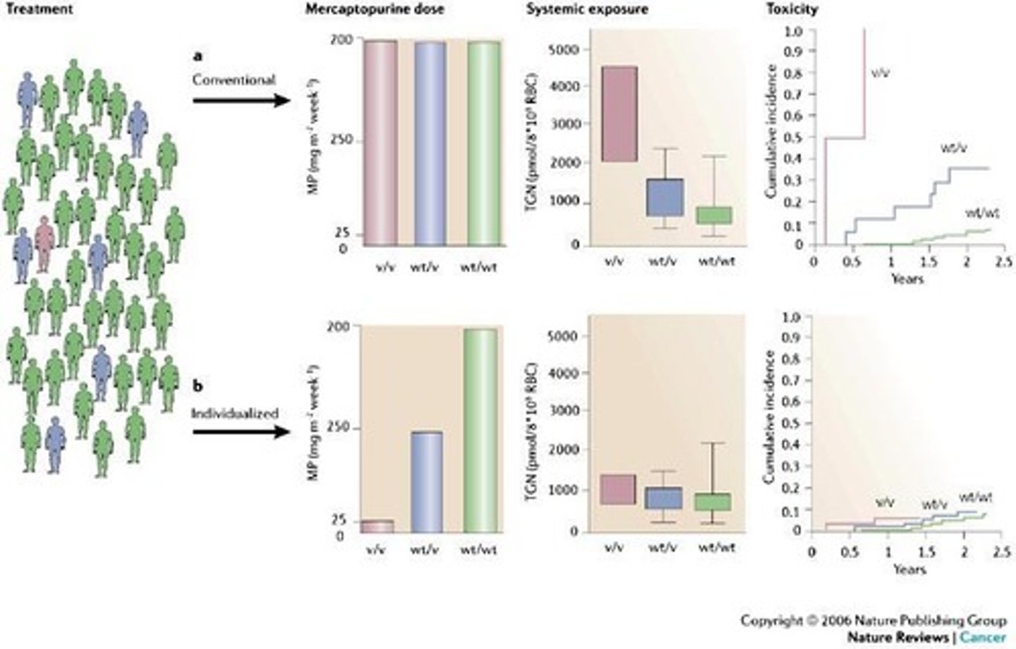 <p>Low TPMT activity is associated with increased toxicity from 6-mercaptopurine due to myelosuppression.</p>
