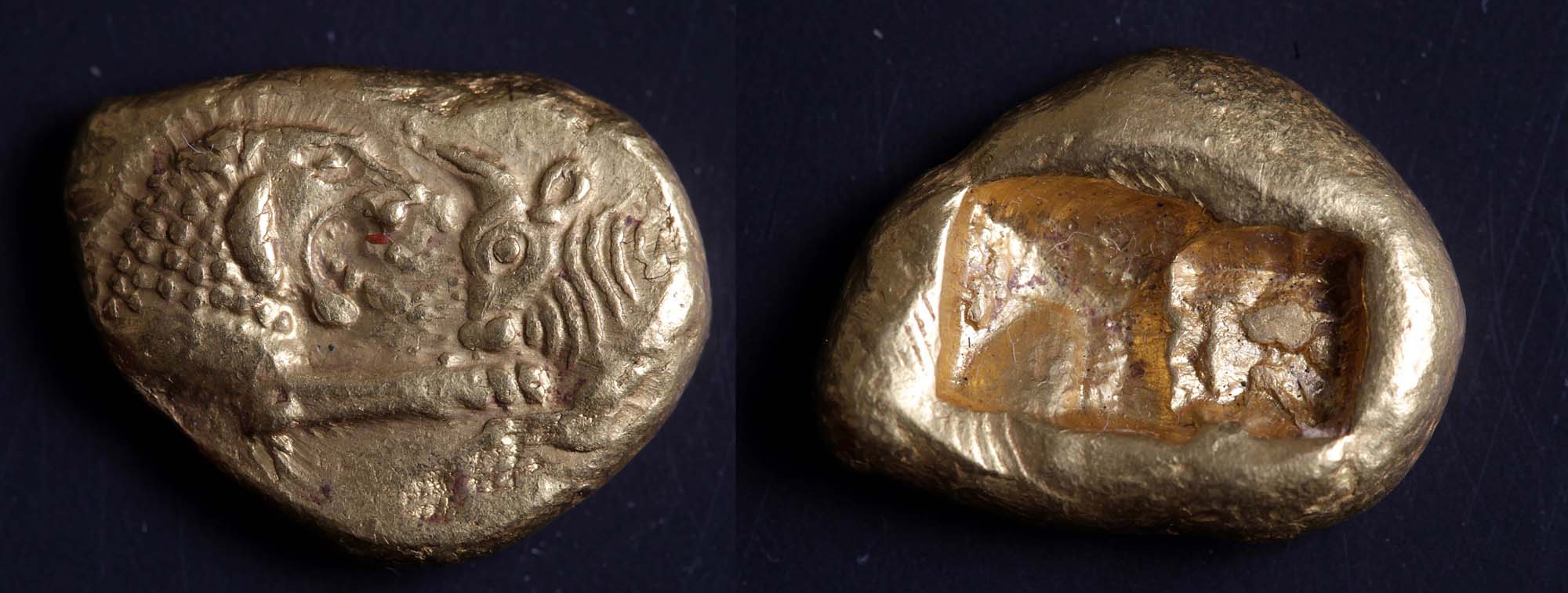 <p><strong>Gold coin (croeseid coin, minted first by king Croesus) with lion and bull, from Sardis. </strong></p>