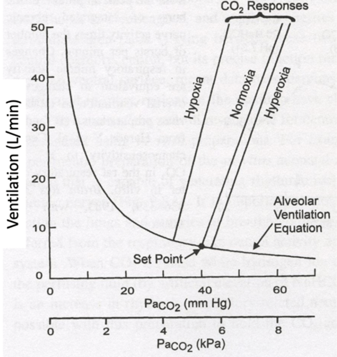 <p>Ventilation increase per mmHg rise in CO2.</p><p>- more sensitive in hypoxic conditions</p>