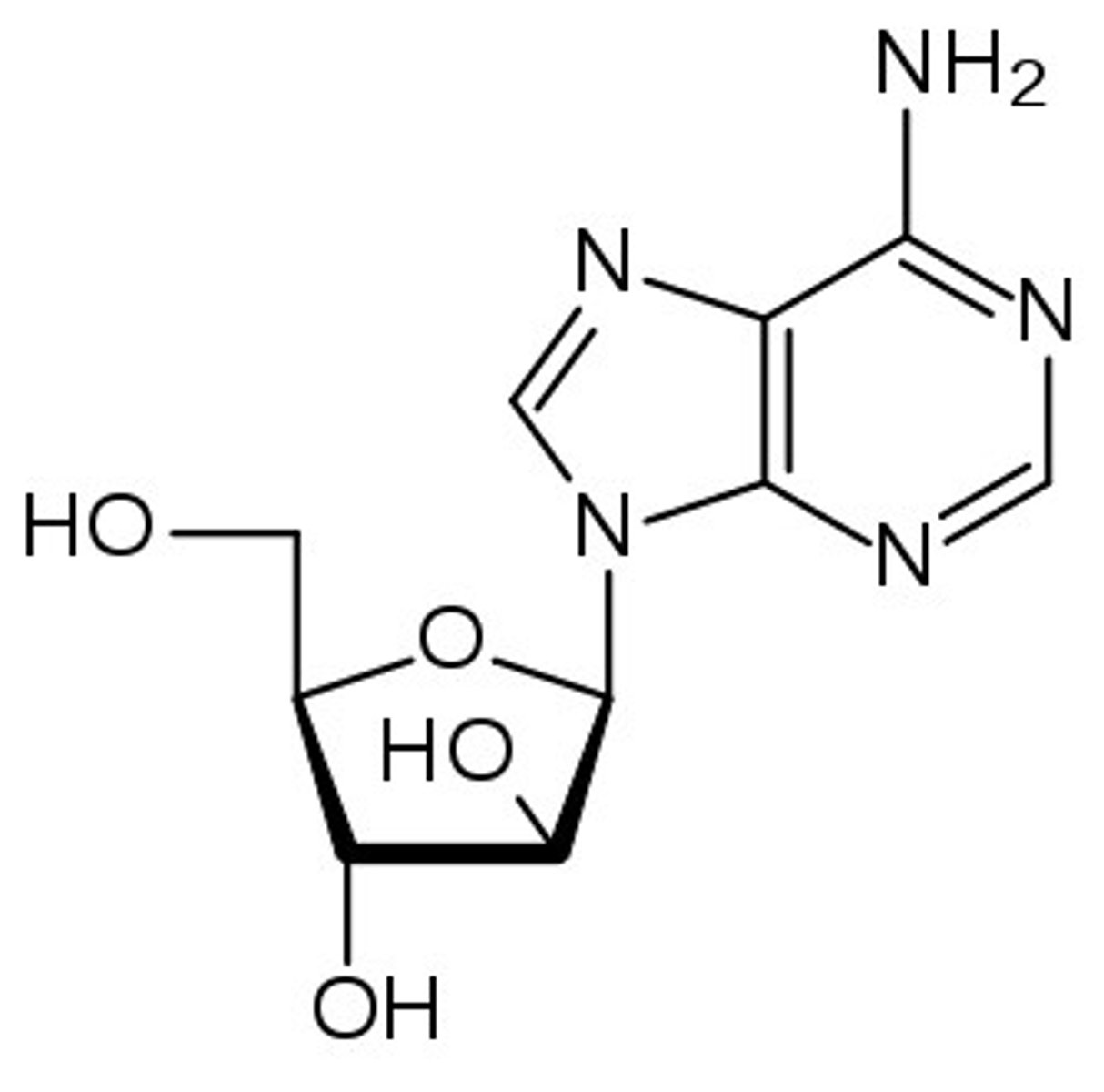 <p>nucleoside</p>