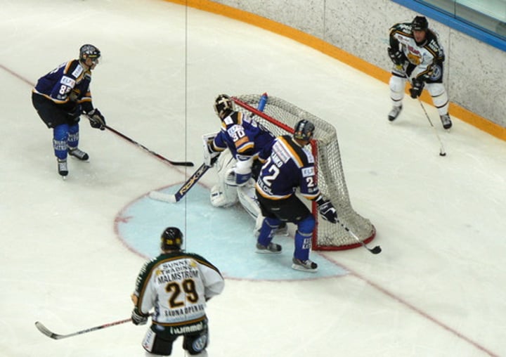 <p>They (m/m) play hockey.</p>