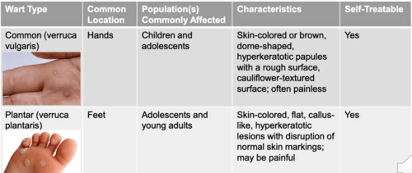 <p>1. Skin-colored</p><p>2. Flat</p><p>3. Callus-like</p><p>4. Hyperkeratotic lesions</p><p>5. Disruption of normal skin markings</p><p>6. May be painful in weight bearing locations </p>