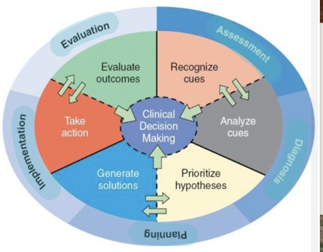 <ul><li><p>A: Assessment (recognize cues)</p></li><li><p>D: Diagnosis (analyze cues and prioritize hypotheses </p></li><li><p>P: Planning (generate solutions)</p></li><li><p>I: Implementation (take action)</p></li><li><p>E: Evaluation (evaluate outcomes)</p></li></ul><p></p>