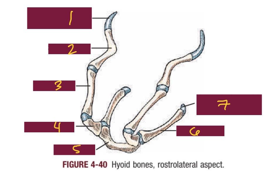 <p>6</p>