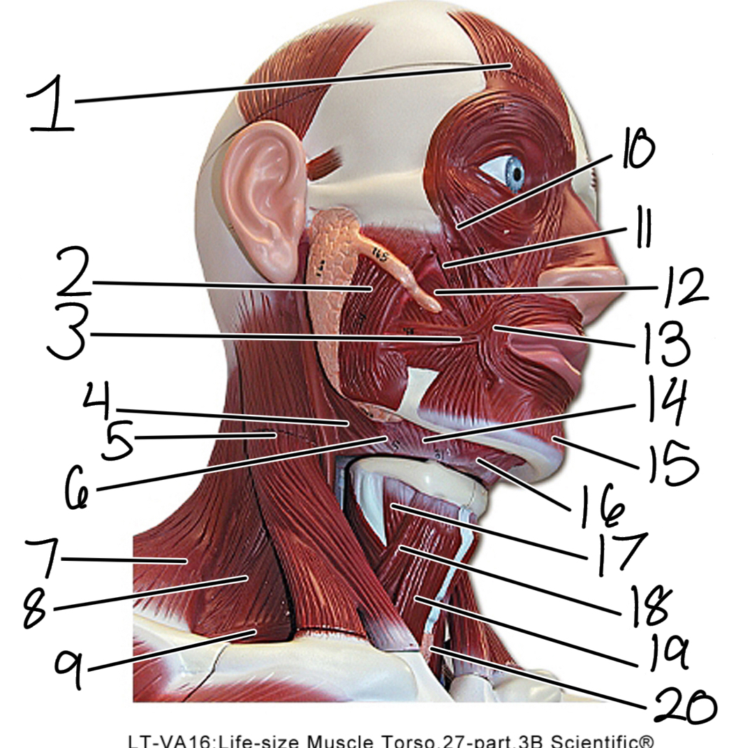 <p>2</p>