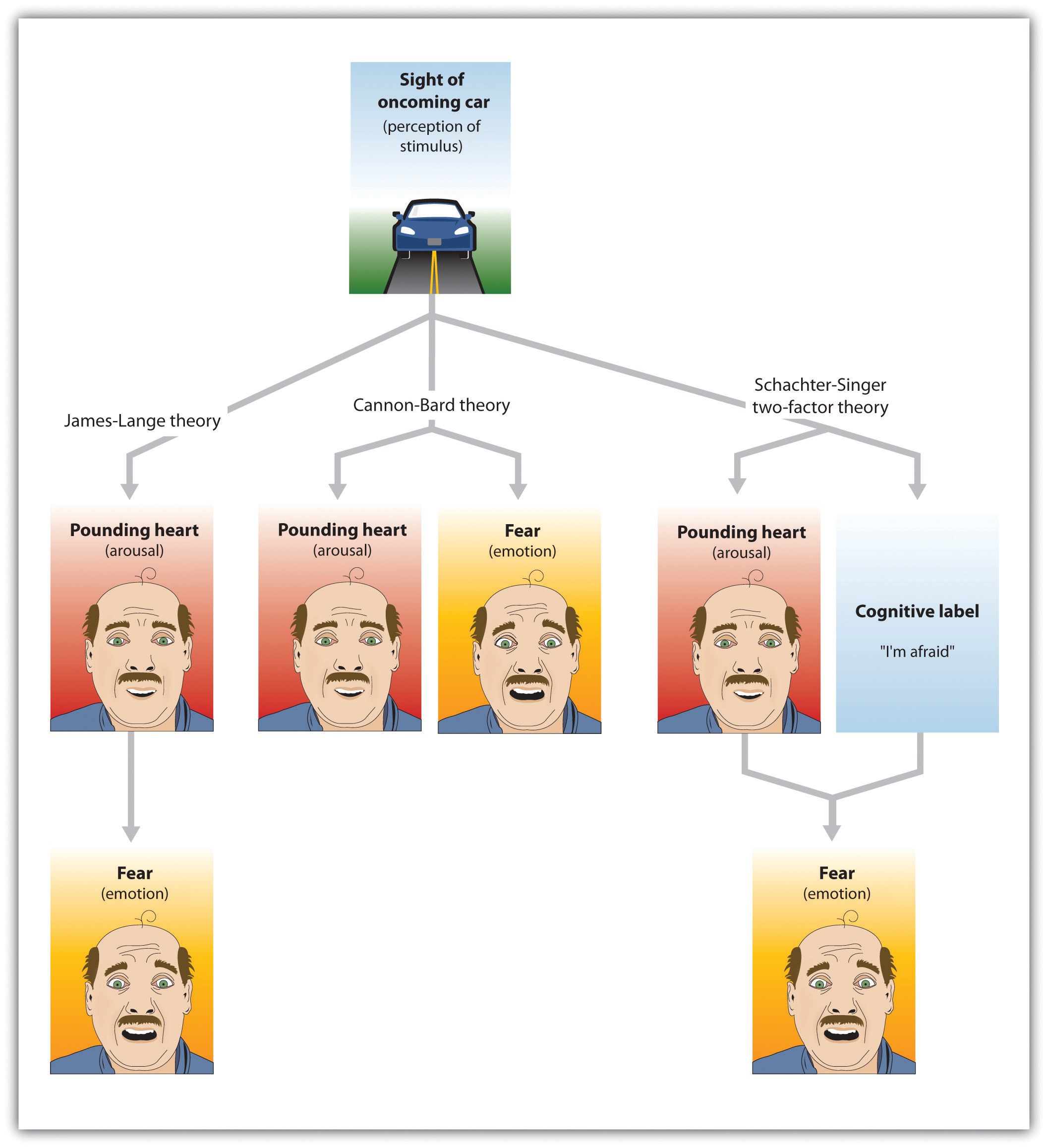 <p>The way the emotion is identified depends on an individual’s interpretation of their situation (appraisal). Both physiological response and cognitive appraisal occur at the same time.</p>