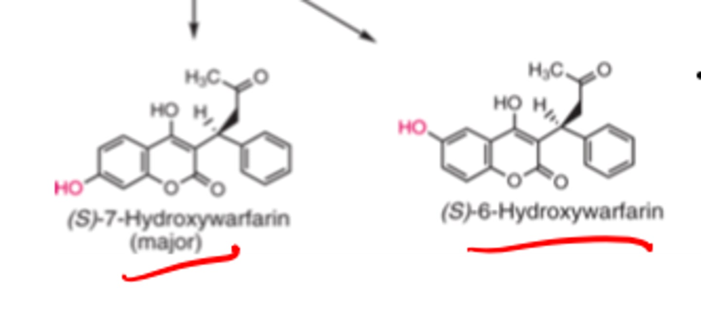 <p>- CYP2C9</p><p>- 6</p><p>- 7-hydroxywarfarin</p>