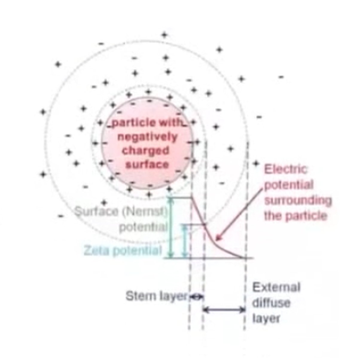 <p>D (Nernst potential or surface potential - electrothermodynamic potential)</p>