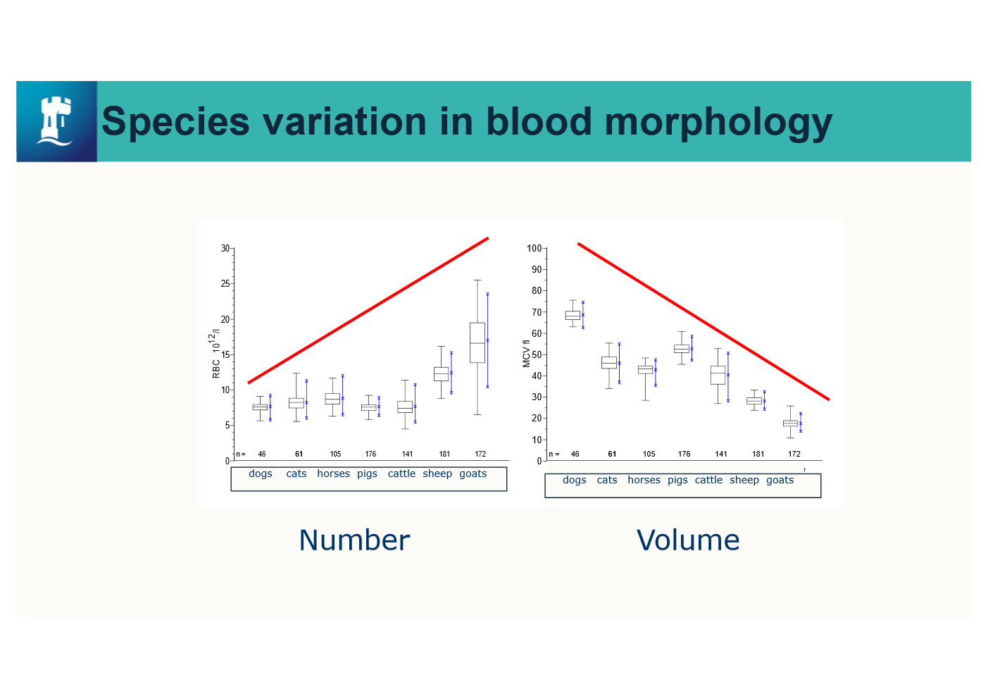 <p>what does this show </p>