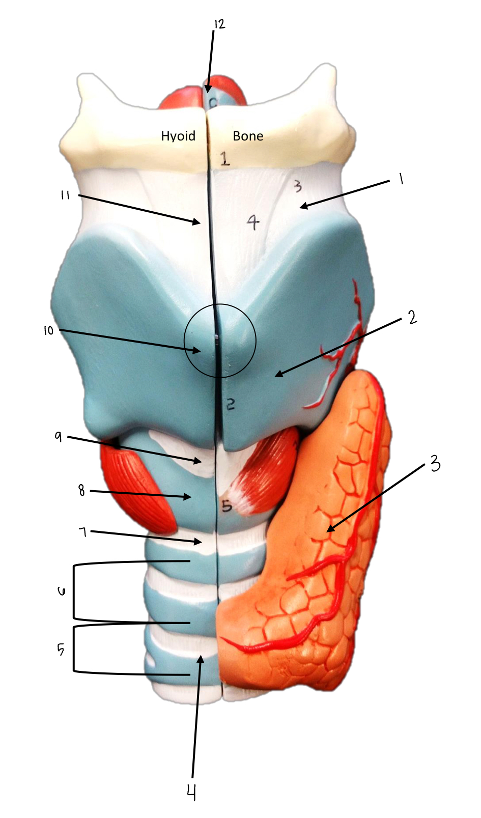 <p>what is number 3?</p>