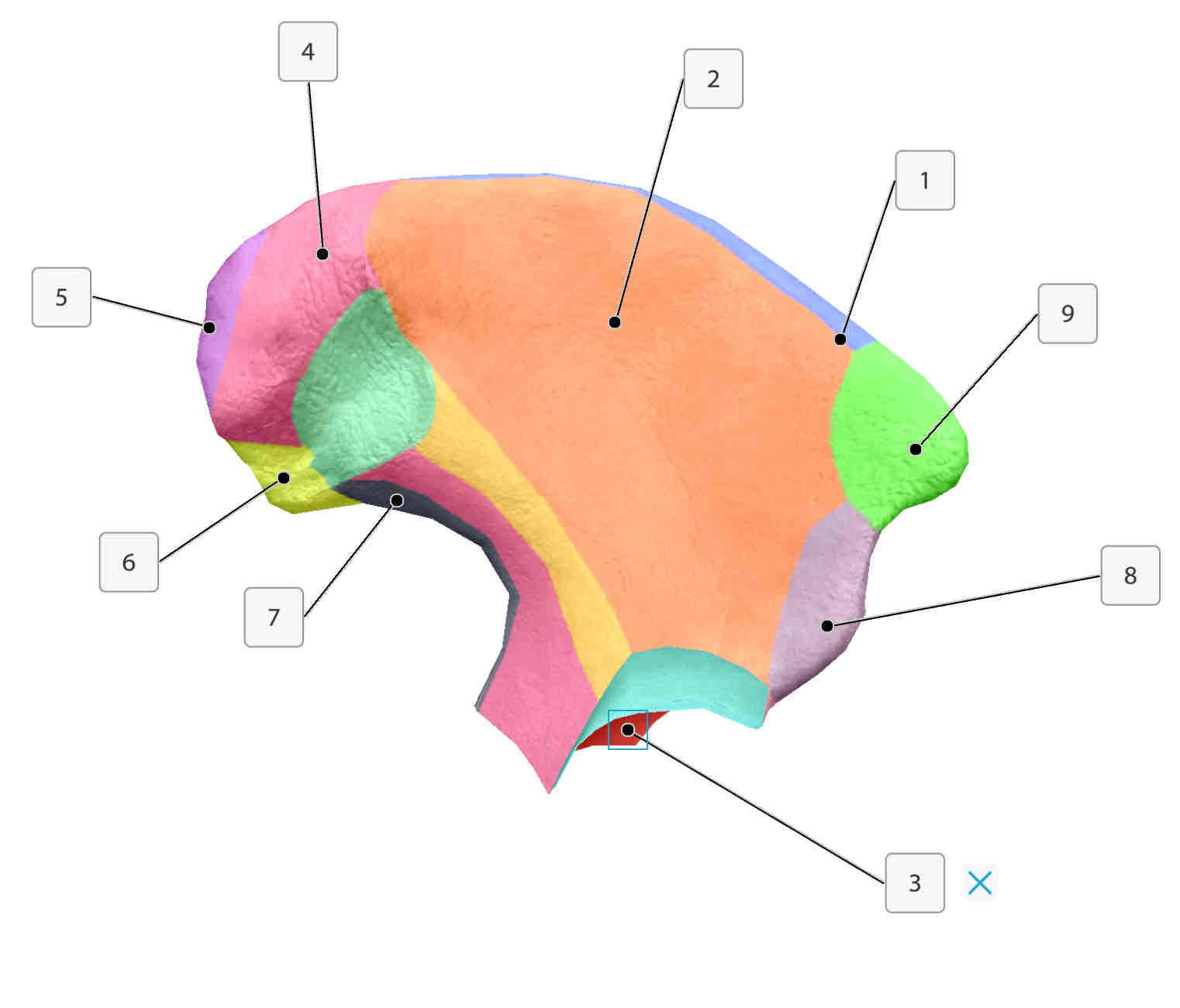<p>What is 1?</p>