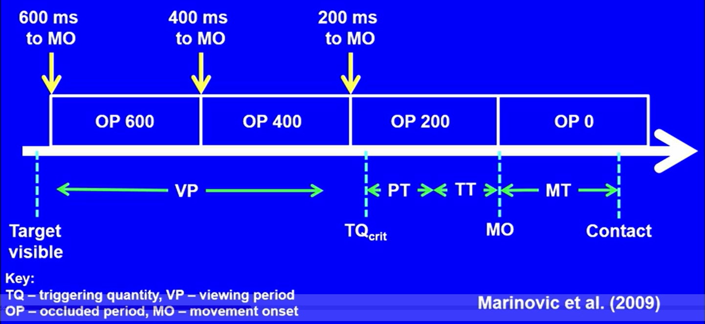 <p>Temporal error increases because the movement is still being programmed and adjusted</p><p>The brain relies on sensory information to plan and correct the movement over time</p>