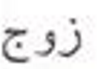 <p>What’s the definition, the plural, and the plural type?</p>
