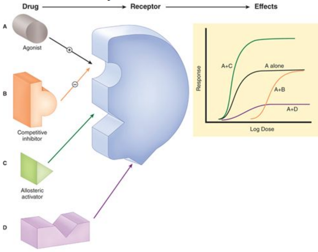 <p>drug shape:</p>