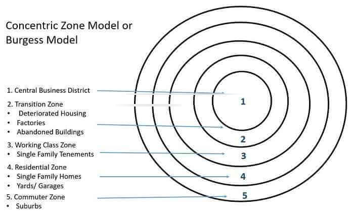 cities develop from inner city to suburbs in concentric rings

* each has set of environmental/social characteristics
* Ernest Burgess (1925)