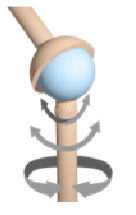 <p>Ball-and-socket joints</p>