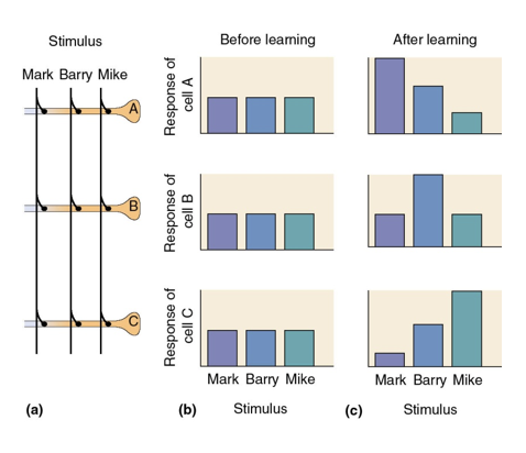 <p>Explain what is happening in this image</p>