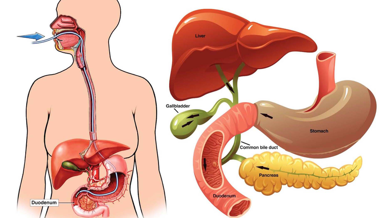 <p>nội soi mật tụy ngược dòng</p>