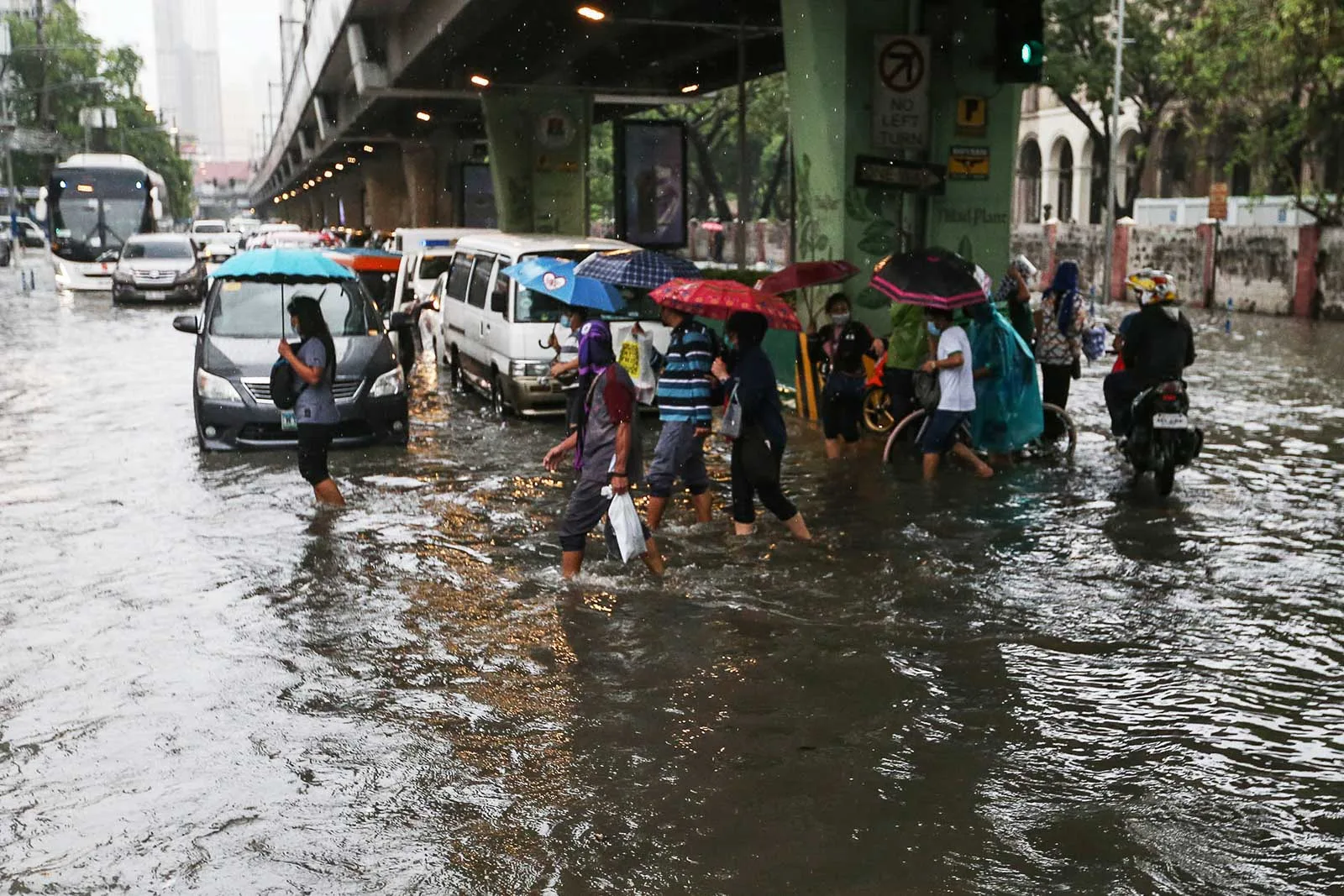 <ul><li><p>unusual heavy rainfall and low temp</p></li><li><p>trade winds that move from E to W are strengthened </p></li><li><p>triggered by the cooling of the eastern part of the pacific ocean</p></li></ul>