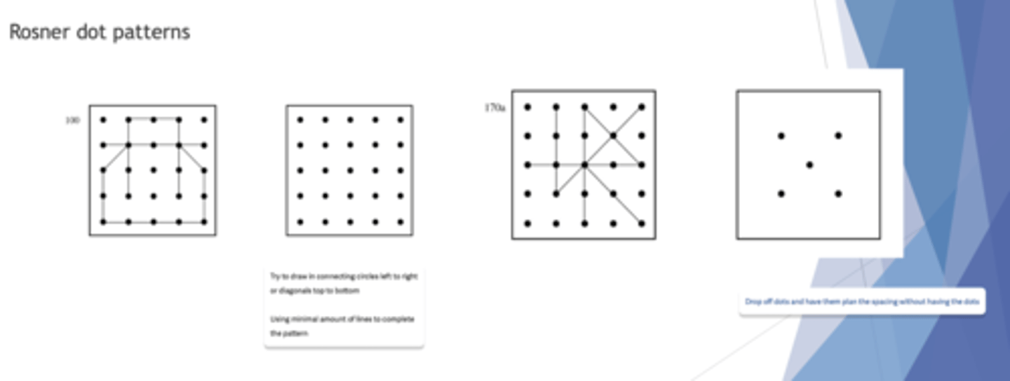 <p>- rosner dot patterns</p><p>- ideal forms</p>