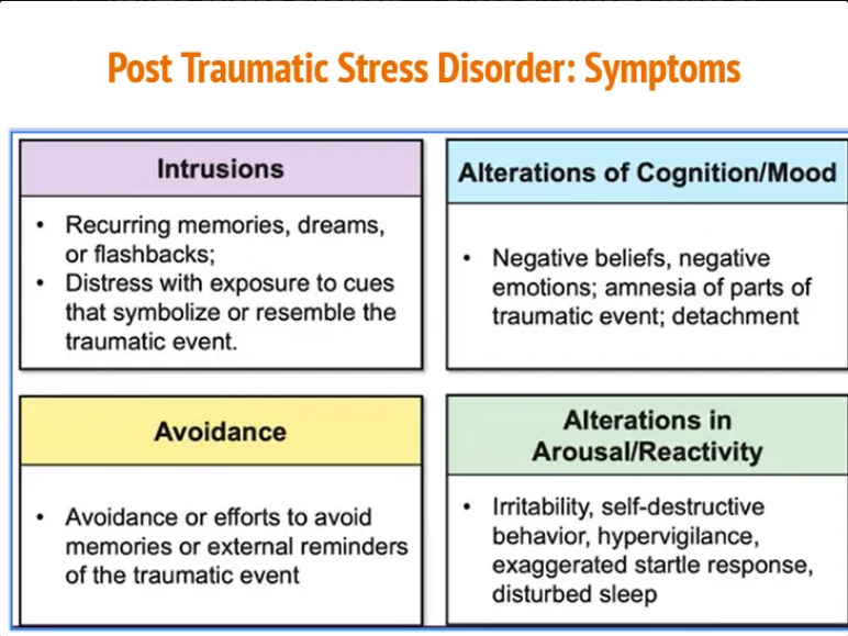 <p>Lasting stress after trauma (e.g., war, assault)</p>