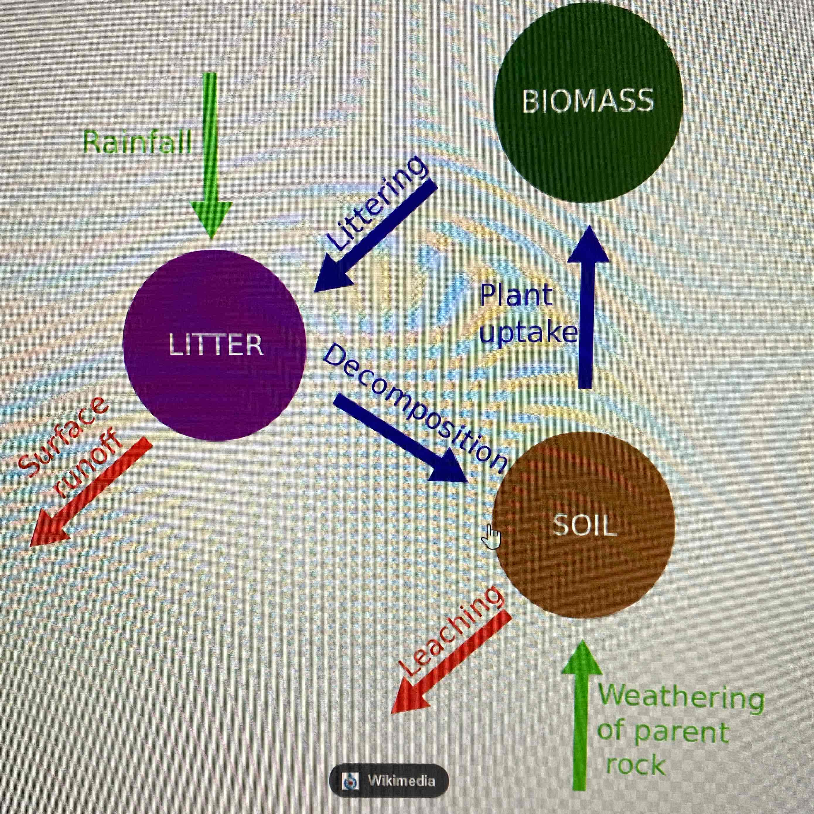 <p>This shows how nutrients move through an ecosystem, and how they enter and exit the cycle.</p>