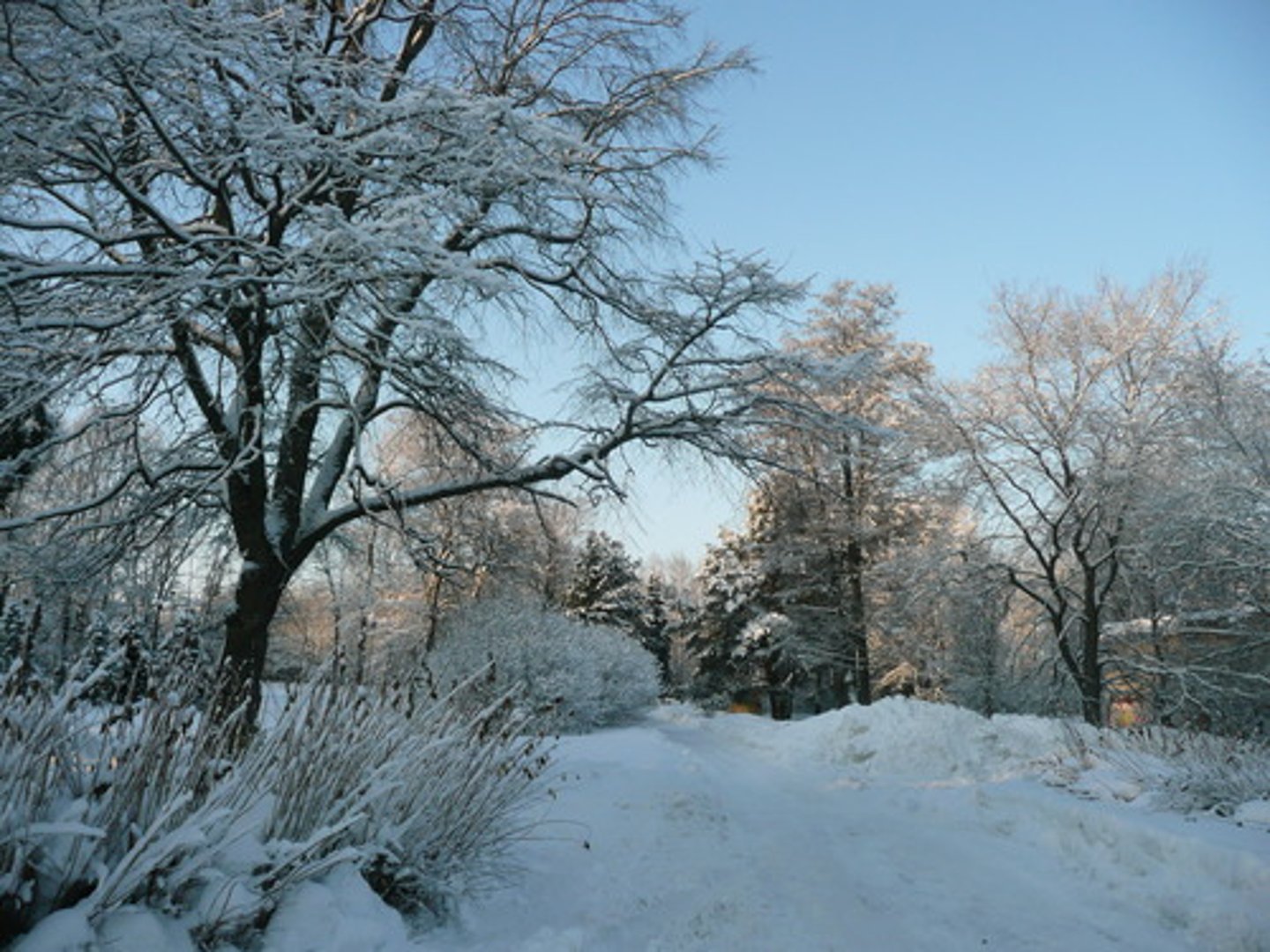 <p>winter</p>