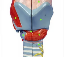 <p>What is this structure?</p>