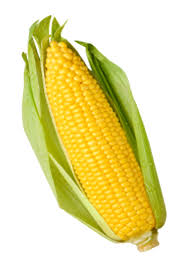 <p>maíz</p>