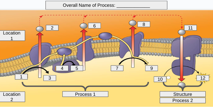 <p>What is the name of #5?</p>