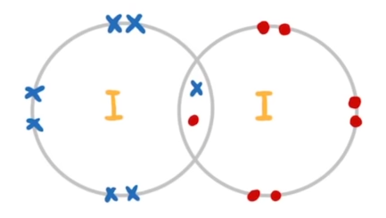 <p>yes because they share one pair  of electrons in a covalent bond (e.g. <span style="font-family: Google Sans, arial, sans-serif">Cl </span><sub>2 , </sub>Br <sub>2, </sub><span style="font-family: Google Sans, arial, sans-serif">I</span><sub>2 )</sub></p>