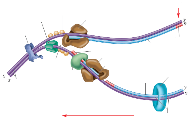 <p>What is the light blue circle thing?</p>
