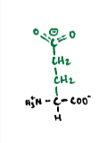 <p>An acidic polar amino acid derived from glutamine.</p>