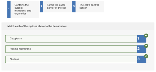 <p><span>Match the component of a cell with its description.</span></p>