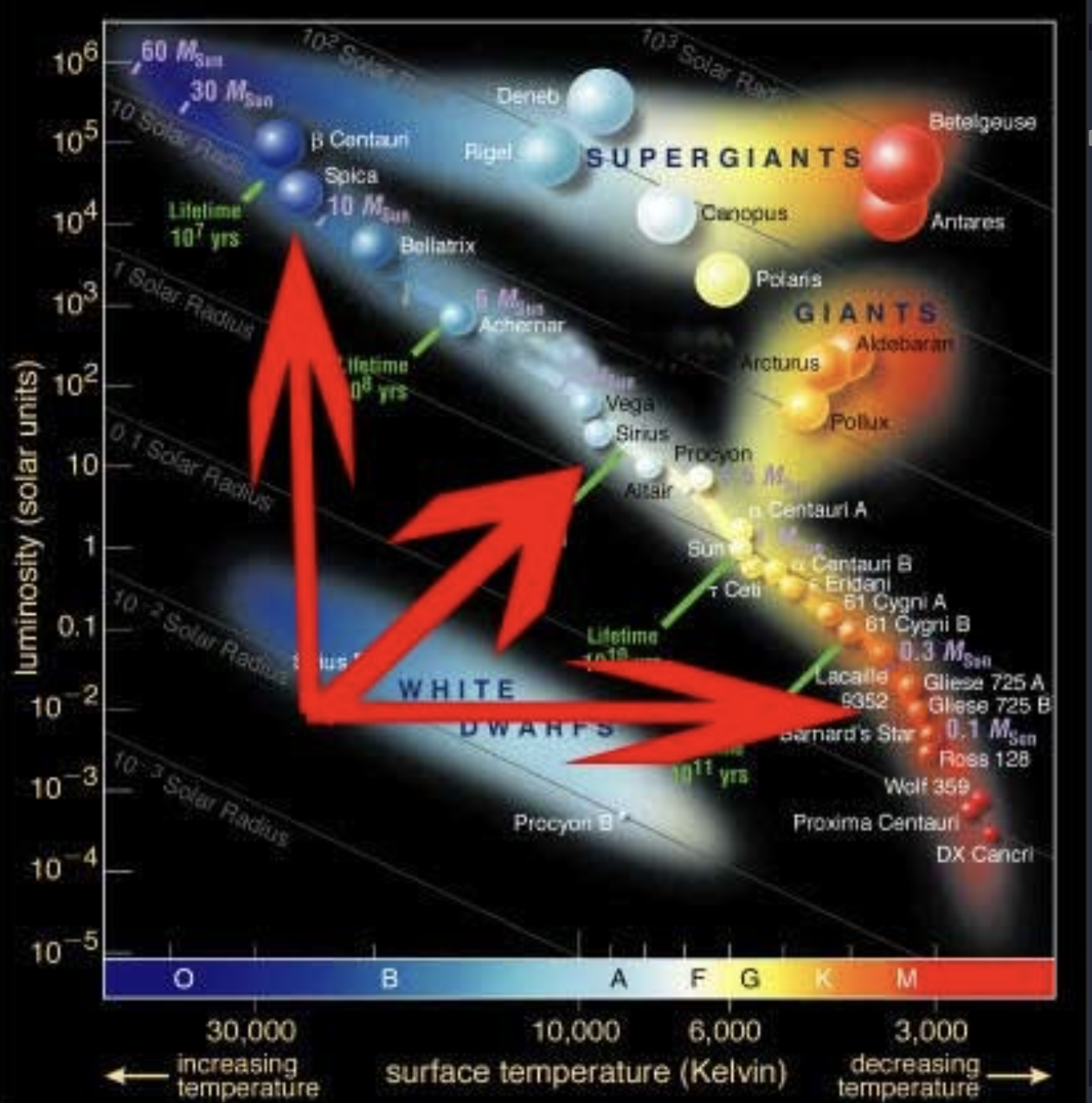 <p><span>a diagonal area on an H-R diagram that includes more than 90 percent of all stars; the stage of a star's life when it is most stable and spends the longest time</span></p>