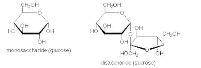 <p><span>Two monosaccharides covalently bonded together → energy storage, e.g., sucrose, maltose, lactose</span></p>