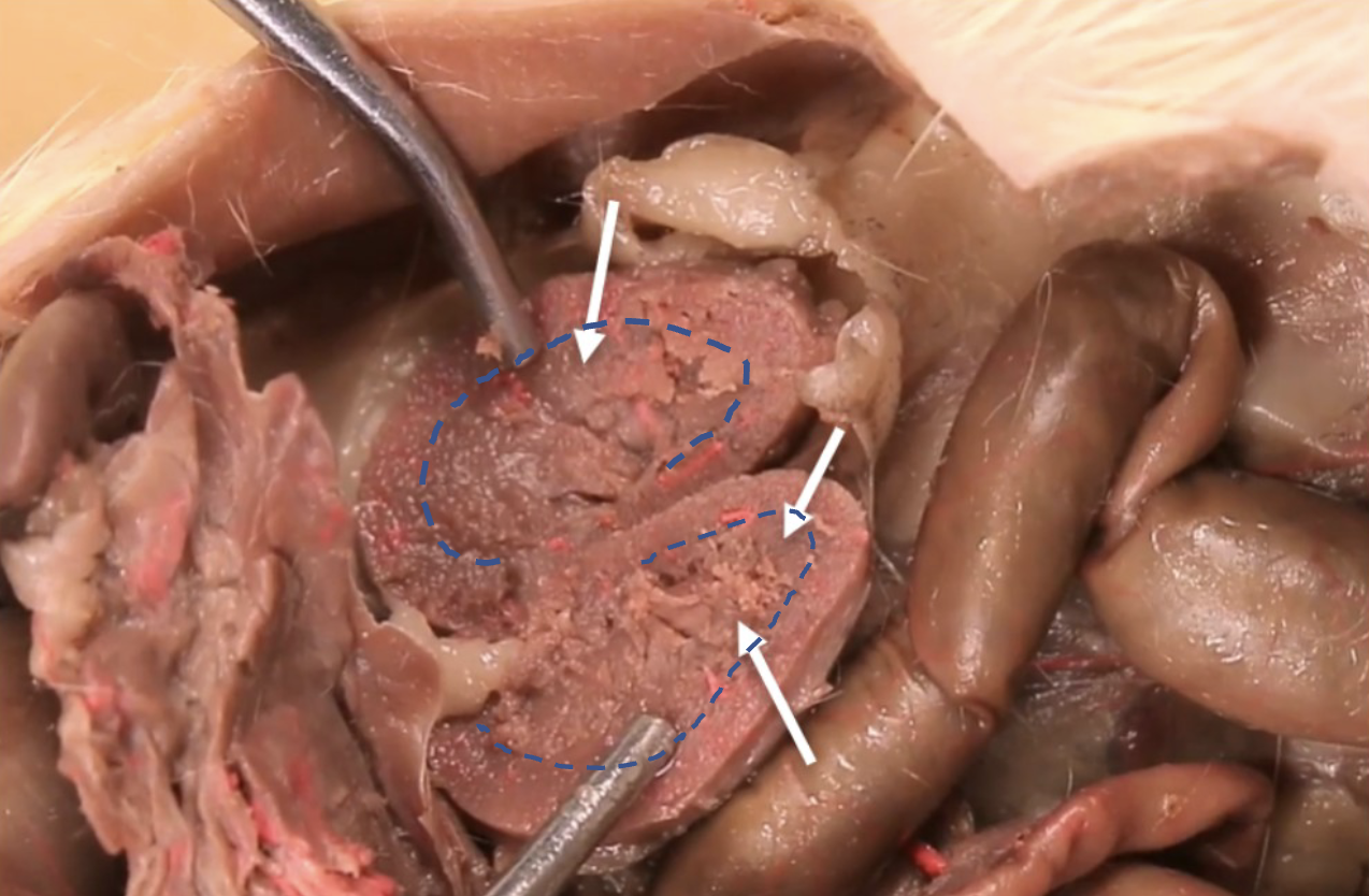 <p>What is this?</p>