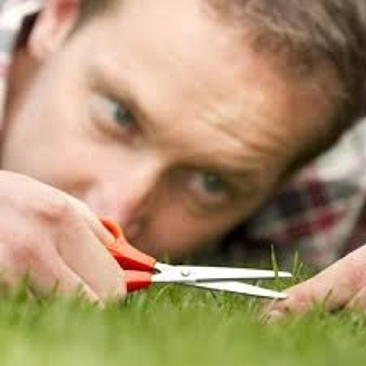 <p>chú ý đến chi tiết</p>