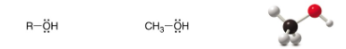 <p>SP<sup>3 </sup>Carbon</p>