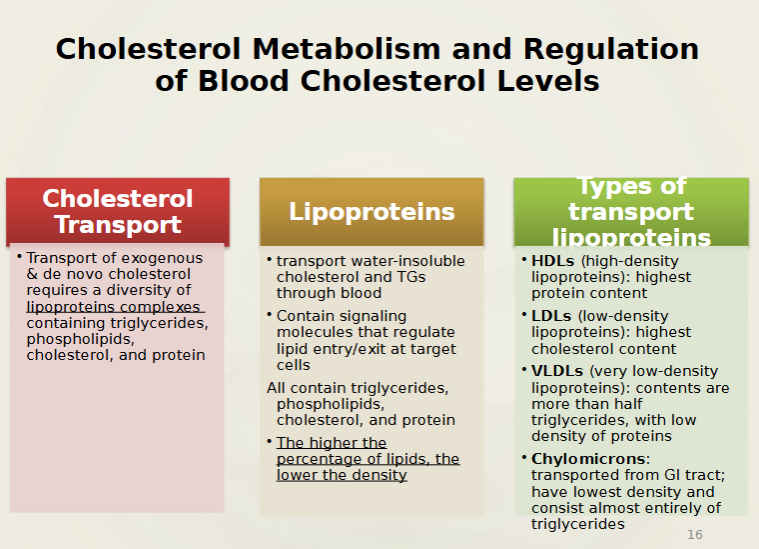 <ul><li><p><strong>Not used as an energy source</strong></p></li><li><p>Structural basis of bile salts, steroid hormones, and vitamin D</p></li><li><p>Major component of plasma membranes</p></li><li><p>15% is ingested, the rest made in body, primarily by liver</p></li><li><p>Lost from body when catabolized or secreted in bile salts that are lost in feces</p></li><li><p>is hydrophobic and must be transported via lipoproteins</p></li></ul><p></p>