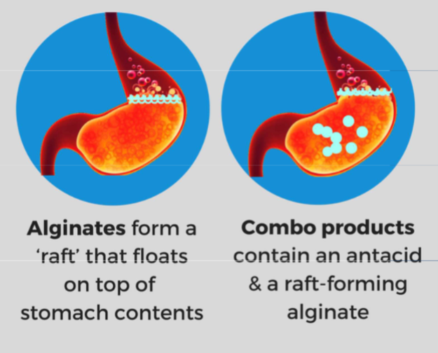 <ul><li><p>Rafting agents</p></li><li><p>Could be mixed with antacids</p></li><li><p>Forms a raft/viscous foam</p></li><li><p>Protects oesophagus during reflux</p></li></ul><p></p>
