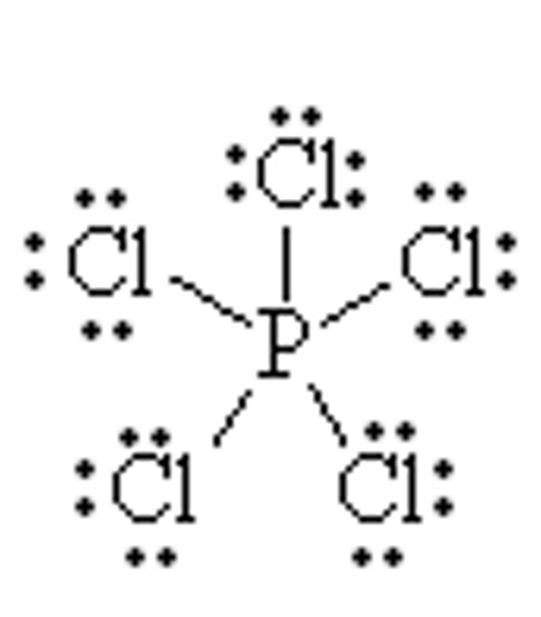 <p>5 bonds (all shared)</p>