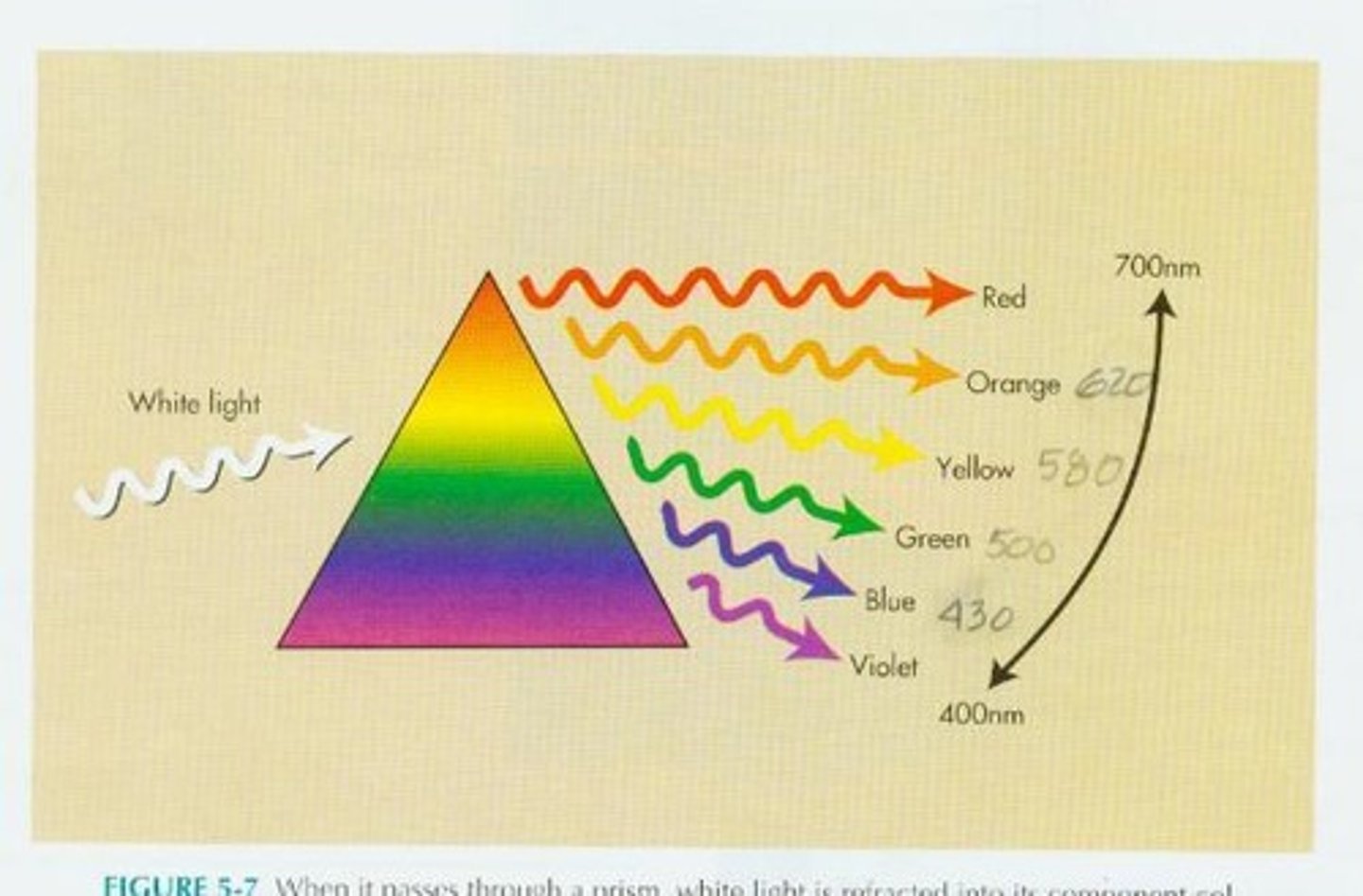 <p>the "bending" of light photons as they pass through one clear medium to another. The amount of refraction varies, depending on wavelength.</p>
