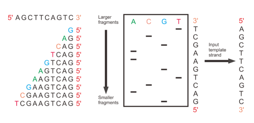 <p>Explain this diagram</p>
