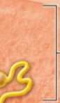 <p>what is this?</p>